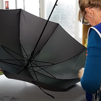 Umbrella Check