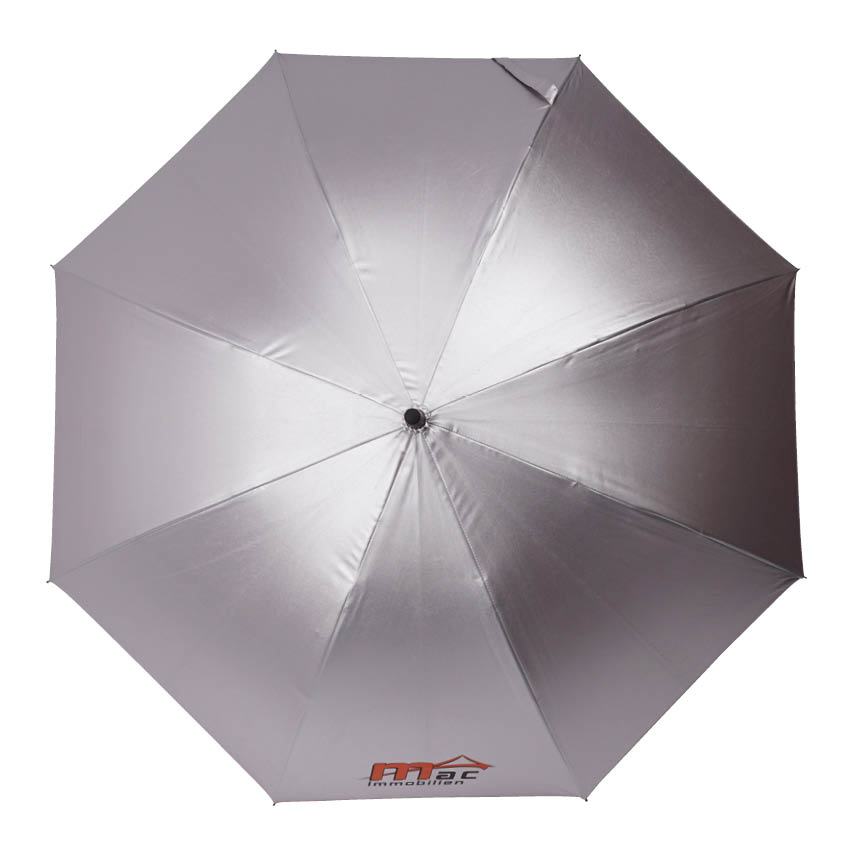 Das Modell Double-Colour Auto (Fare Metallic)