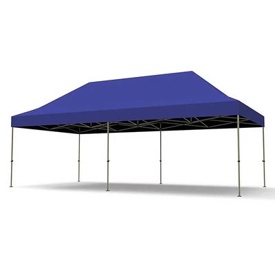 Plus Fold 3x6